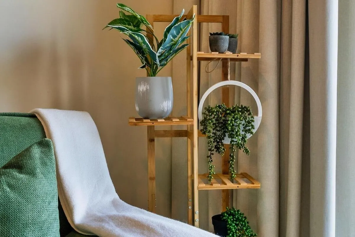 Nature-Themed Stay With 4K Projector Abu Dhabi 0*,  United Arab Emirates
